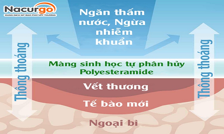 Cơ chế màng sinh học Polyesteramide Cơ chế màng sinh học Polyesteramide