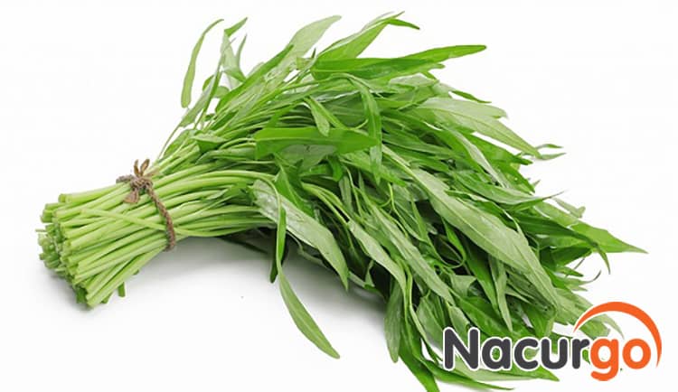 Không nên ăn rau muống khi bị bỏng