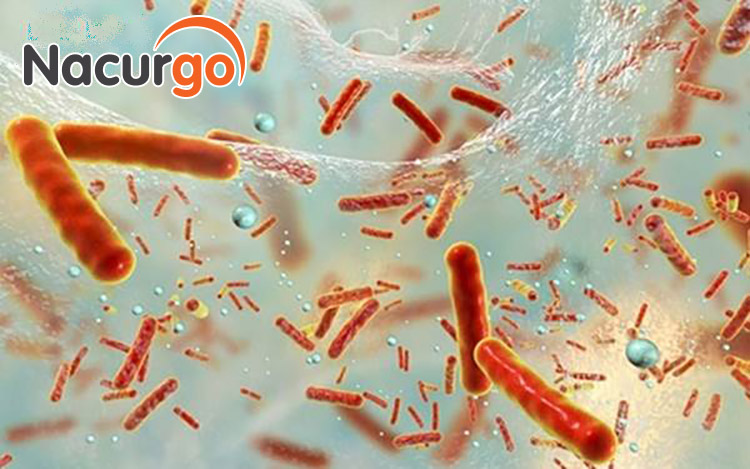 Tiêu diệt được lớp màng biofilm