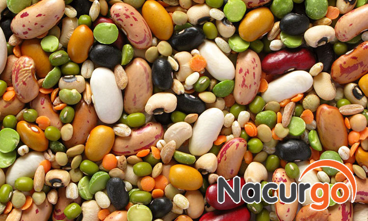 Nên ăn các loại hạt dinh dưỡng, lành tính