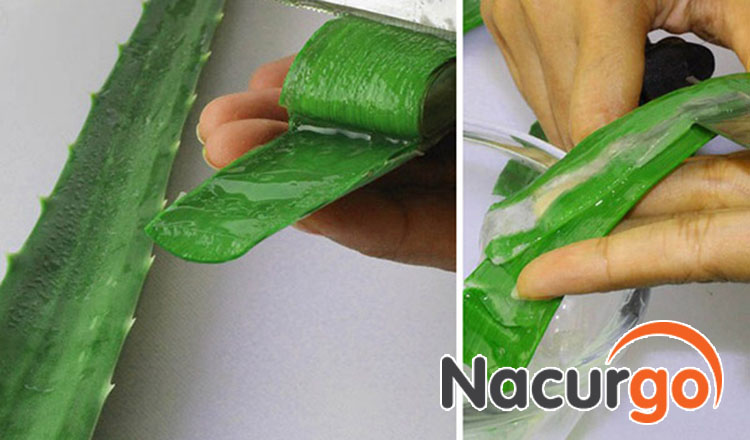 Cách làm nha đam chữa bỏng bô