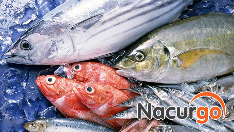 bị bỏng có nên ăn cá không?