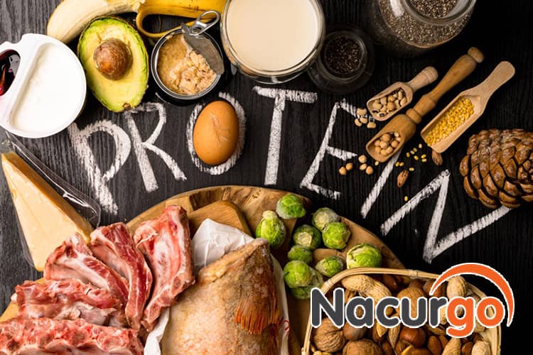 Nhu cầu về Protein