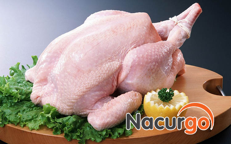 Bị trầy xước nên ăn thịt gà không?