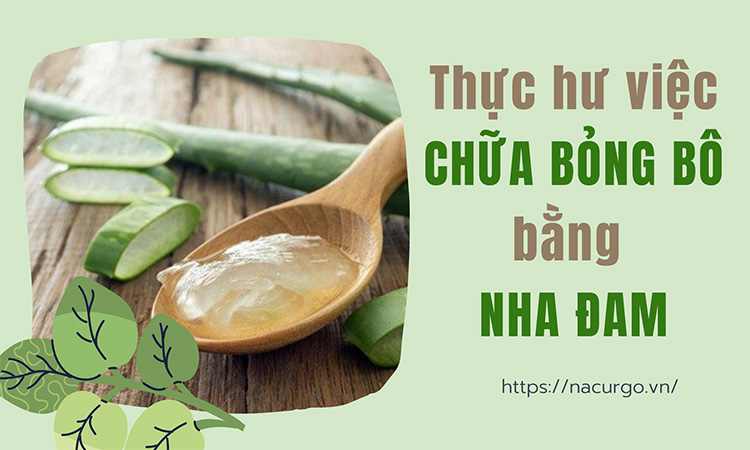 Thực hư chữa bỏng bằng nha đam