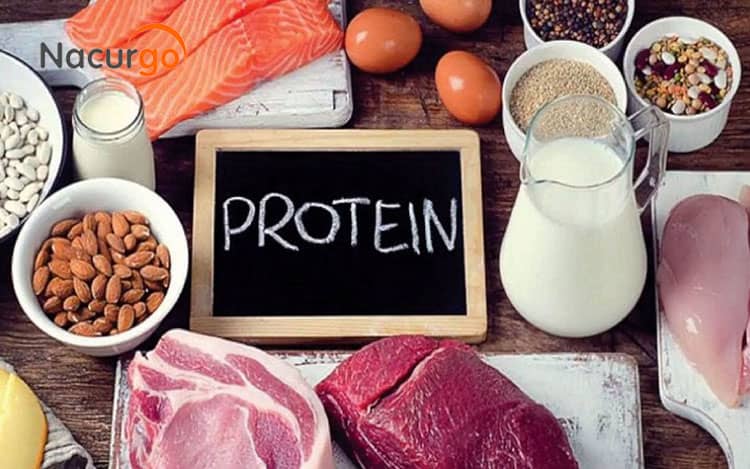 thuc-pham-giau-protein-cho-bong