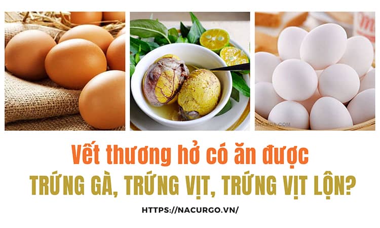 Bị vết thương hở có ăn được trứng gà, trứng vịt, trứng vịt lộn hay không?