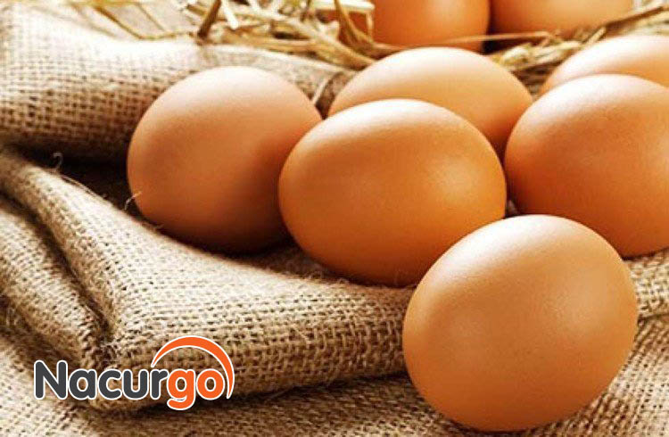 Vết thương hở có nên ăn trứng gà không?