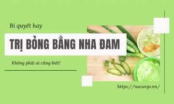 Bí quyết trị bỏng bằng nha đam hiệu quả