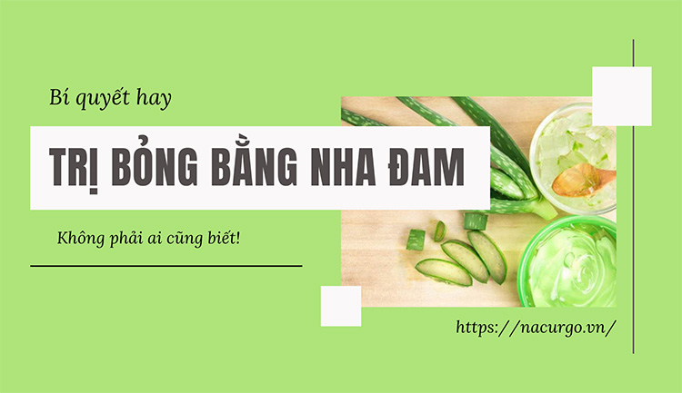 Bí quyết trị bỏng bằng nha đam hiệu quả