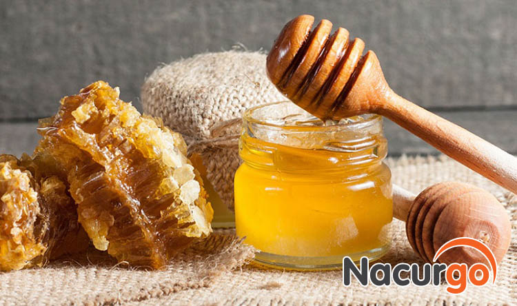 Mật ong như một chất kháng sinh tự nhiên giúp chăm sóc bỏng lưỡi hiệu quả