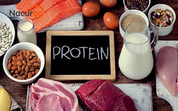 protein-cho-vet-thuong-nhiem-trung