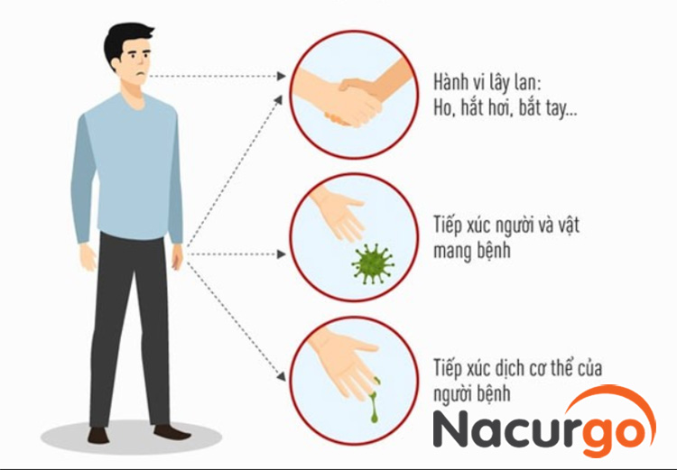 Bỏng dạ có thể lây qua tiếp xúc dịch, giọt bắn và tiếp xúc gián tiếp với đồ vật của người mang bệnh