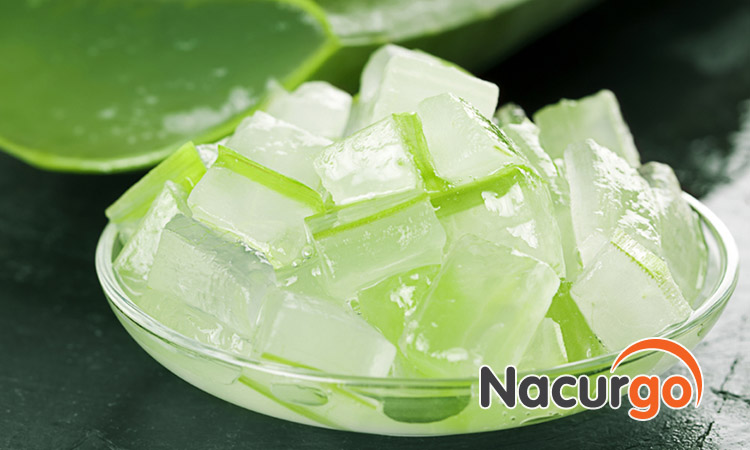 Bôi gel nha đam giúp làm dịu vết bỏng nhẹ ở mặt