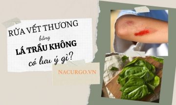 rua-vet-thuong-bang-la-trau