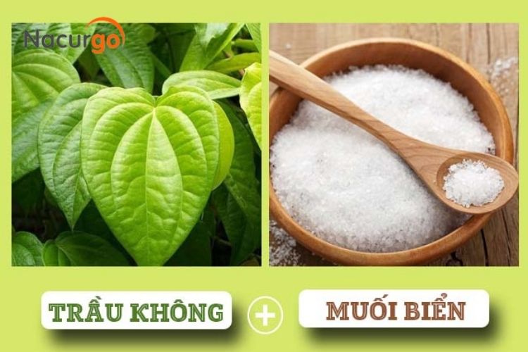 trau-khong-va-muoi