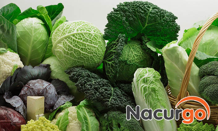 Kết hợp dinh dưỡng để bỏng dạ hồi phục nhanh hơn