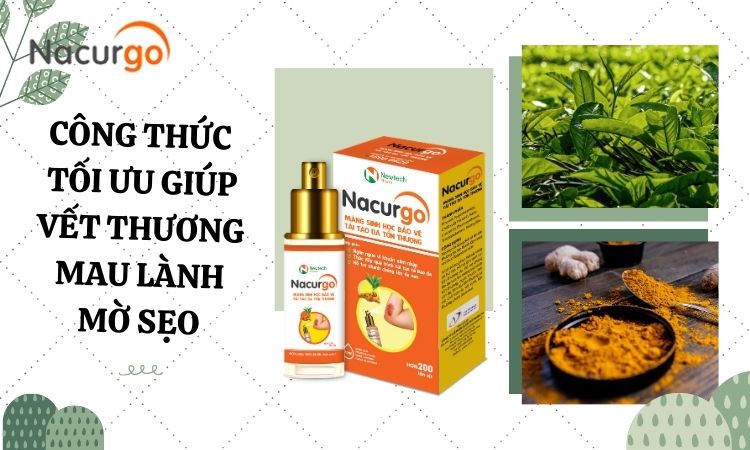 giai-phap-ngan-ngua-seo