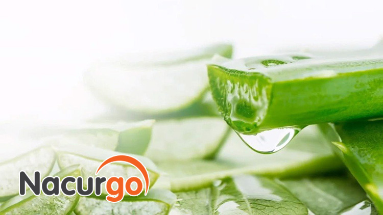 Sử dụng nha đam cho vết bỏng dầu ăn trên mặt