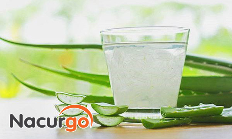 Nha đam là nguyên liệu cải thiện bỏng trên da mặt hiệu quả