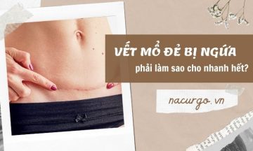 vet-mo-de-bi-ngua