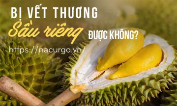 Bị vết thương hở ăn sầu riêng được không?