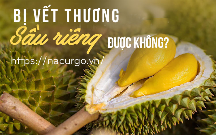 Bị vết thương ăn sầu riêng được không?