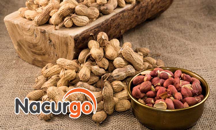 Bị vết thương có ăn được đậu phộng không?