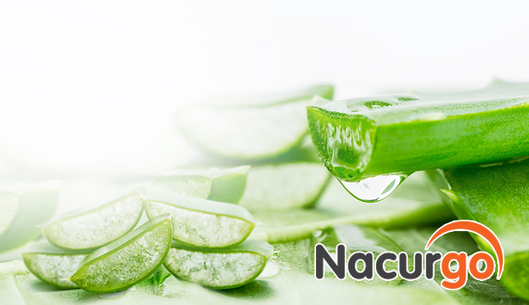 Nha đam cũng được sử dụng để làm mờ vết thâm bỏng