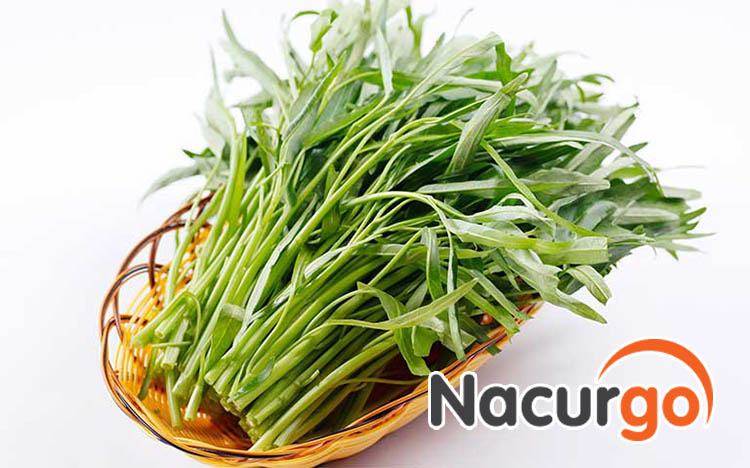 Rau muống sẽ khiến vết thương của bạn hình thành mô xơ cứng (sẹo lồi) xấu xí