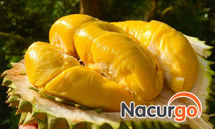 Sầu riêng là trái cây rất giàu dinh dưỡng