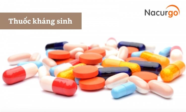 thuoc-dieu-tri-nhiem-khuan