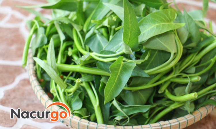 Kiêng ăn rau muống để người vết sẹo lồi