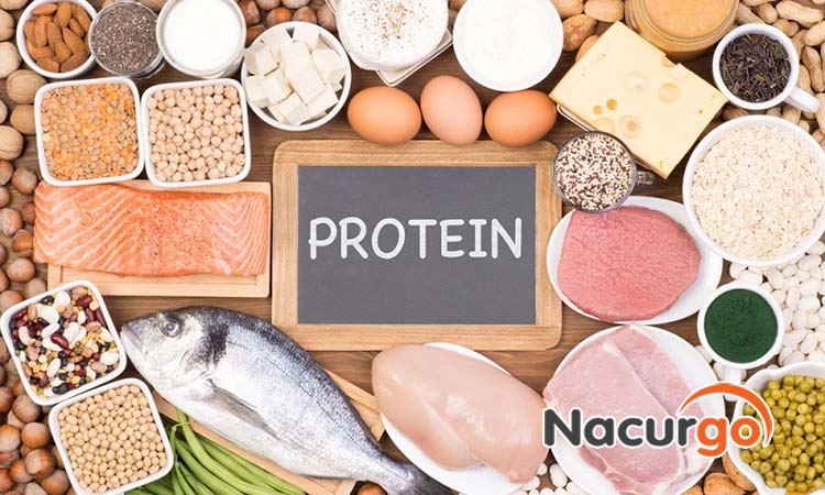 Lựa chọn thực phẩm giàu Protein