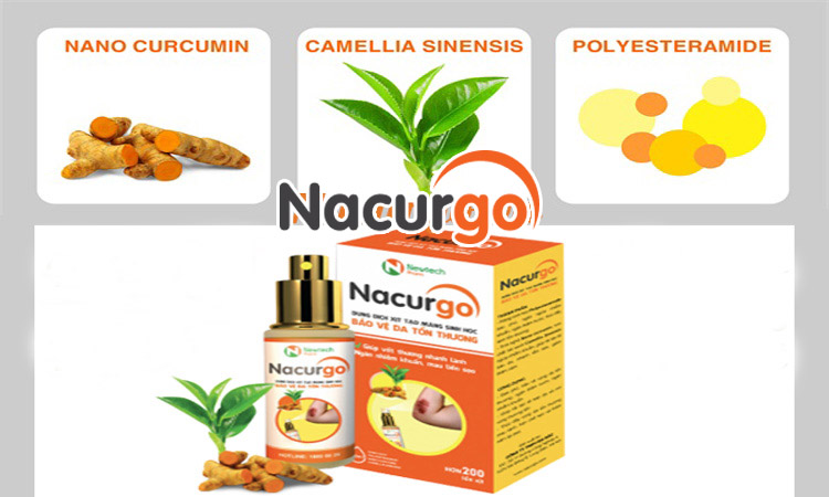 Thành phần của Nacurgo nghệ dạng xịt